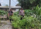 Bhabinkamtibmas Desa Dawuhan Ajak Warga Manfaatkan Pekarangan Produktif Dukung Ketahanan Pangan