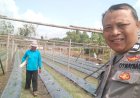Bhabinkamtibmas Desa Warurejo Dorong Pemanfaatan Lahan Pertanian dan Sampaikan Imbauan Kamtibmas kepada Warga