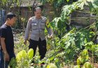 Bhabinkamtibmas Desa Kaligunting Ajak Warga Optimalkan Pekarangan Pangan Bergizi untuk Dukung Ketahanan Pangan