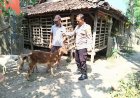 Bhabinkamtibmas Desa Banaran Ajak Warga Optimalkan Pekarangan dan Peternakan untuk Dukung Ketahanan Pangan Nasional