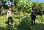 Bhabinkamtibmas Polsek Gemarang Dorong Pemanfaatan Pekarangan Pangan Bergizi untuk Mendukung Ketahanan Pangan