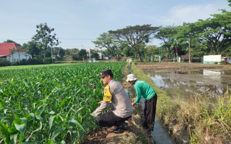 Bhabinkamtibmas Desa Glonggong Ajak Warga Optimalkan Pekarangan dan Sawah untuk Dukung Ketahanan Pangan