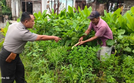 Bhabinkamtibmas Desa Plumpungrejo Dorong Pemanfaatan Pekarangan Produktif untuk Dukung Ketahanan Pangan