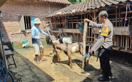 Bhabinkamtibmas Desa Nglanduk Dorong Pemanfaatan Pekarangan untuk Peternakan Kambing Dukung Ketahanan Pangan