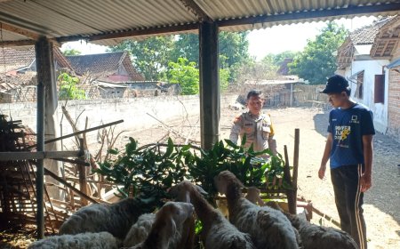 Bhabinkamtibmas Desa Kedungjati Tinjau Peternakan Kambing dan Dorong Pemanfaatan Lahan untuk Ketahanan Pangan