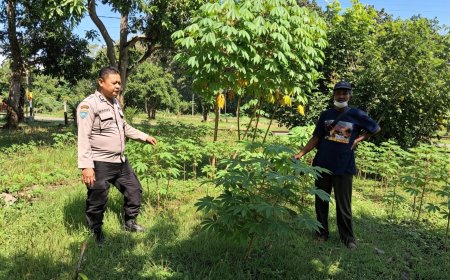 Bhabinkamtibmas Polsek Gemarang Dorong Pemanfaatan Pekarangan Pangan Bergizi untuk Mendukung Ketahanan Pangan