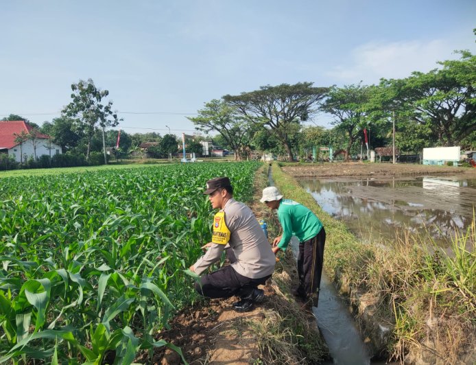 Bhabinkamtibmas Desa Glonggong Dorong Pemanfaatan Pekarangan dan Sawah untuk Mendukung Ketahanan Pangan