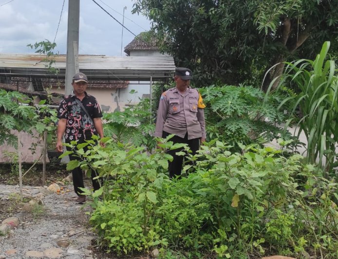 Bhabinkamtibmas Desa Dawuhan Dorong Pemanfaatan Pekarangan Produktif untuk Mendukung Ketahanan Pangan
