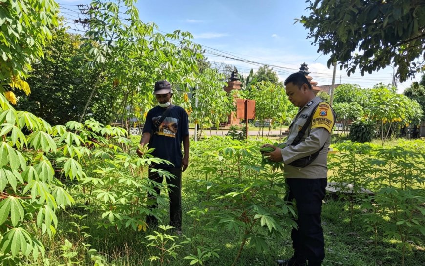 Bhabinkamtibmas Desa Gemarang Dorong Pemanfaatan Pekarangan Bergizi untuk Dukung Ketahanan Pangan Nasional
