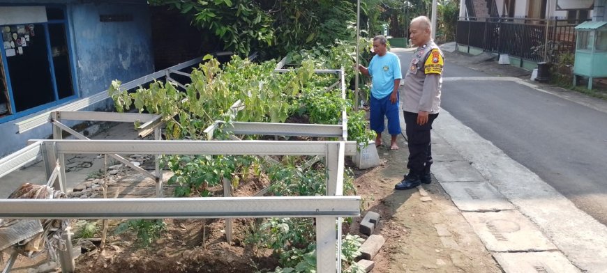 Bhabinkamtibmas Desa Purwosari Dorong Pemanfaatan Pekarangan untuk Dukung Ketahanan Pangan