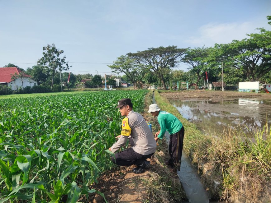 Bhabinkamtibmas Desa Glonggong Ajak Warga Optimalkan Pekarangan dan Sawah untuk Dukung Ketahanan Pangan
