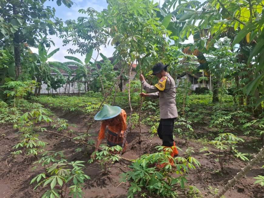 Bhabinkamtibmas Desa Mojopurno Dorong Warga Manfaatkan Pekarangan untuk Dukung Ketahanan Pangan
