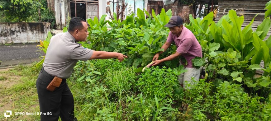 Bhabinkamtibmas Desa Plumpungrejo Dorong Pemanfaatan Pekarangan Produktif untuk Dukung Ketahanan Pangan
