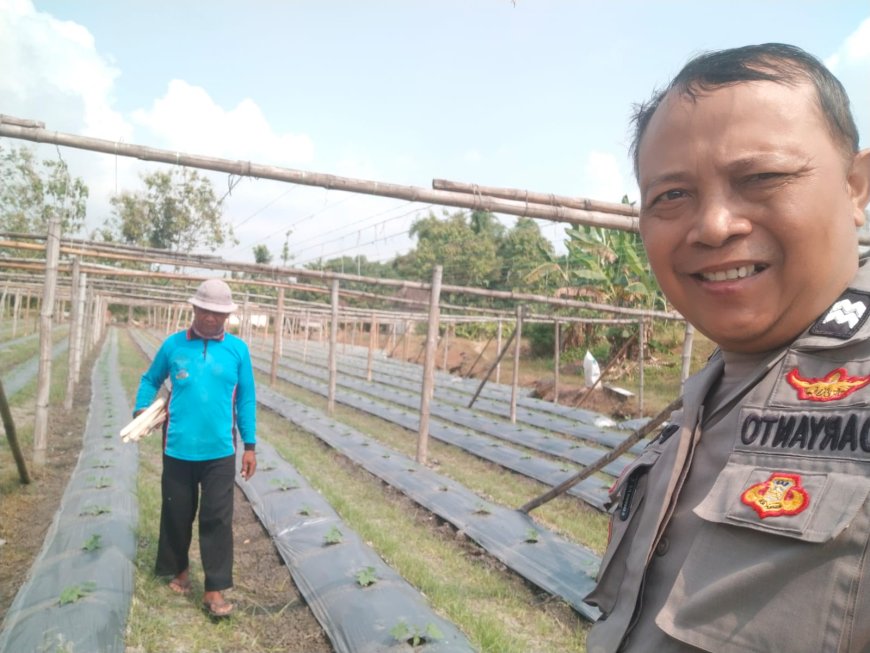Bhabinkamtibmas Desa Warurejo Dorong Pemanfaatan Lahan Pertanian dan Sampaikan Imbauan Kamtibmas kepada Warga