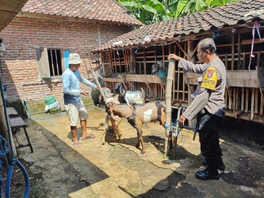 Bhabinkamtibmas Desa Nglanduk Dorong Pemanfaatan Pekarangan untuk Peternakan Kambing Dukung Ketahanan Pangan