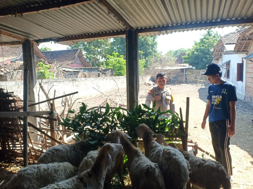 Bhabinkamtibmas Desa Kedungjati Tinjau Peternakan Kambing dan Dorong Pemanfaatan Lahan untuk Ketahanan Pangan