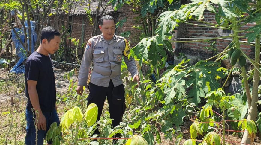Bhabinkamtibmas Desa Kaligunting Ajak Warga Optimalkan Pekarangan Pangan Bergizi untuk Dukung Ketahanan Pangan