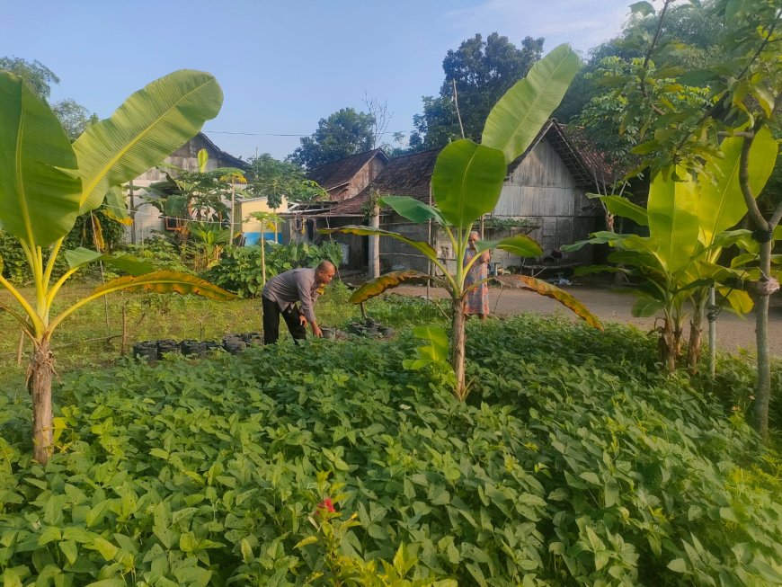 Bhabinkamtibmas Polsek Pilangkenceng Kunjungi warga Desa Kedungrejo, Dukung Program Ketahanan Pangan Nasional