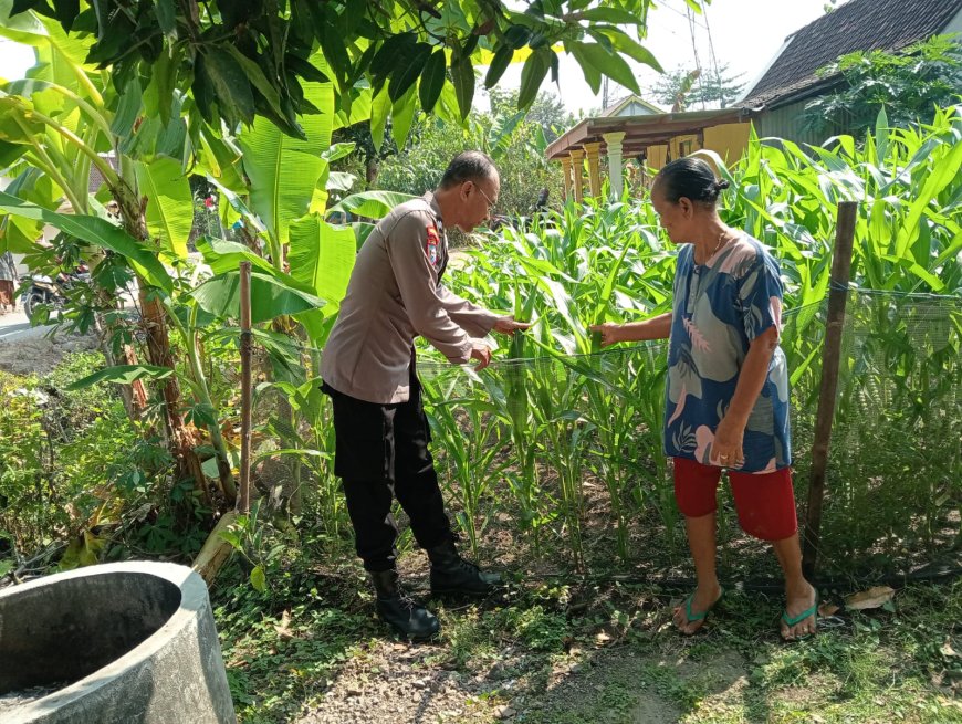Bhabinkamtibmas Desa Pilangkenceng Ajak Warga Optimalkan Pekarangan untuk Dukung Ketahanan Pangan