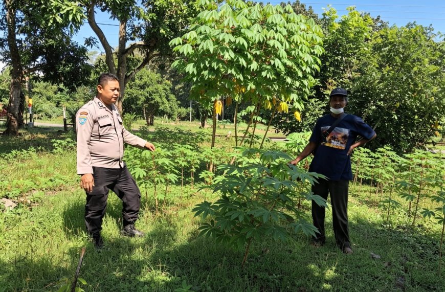 Bhabinkamtibmas Polsek Gemarang Dorong Pemanfaatan Pekarangan Pangan Bergizi untuk Mendukung Ketahanan Pangan